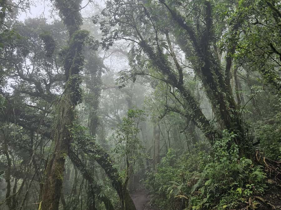 2-day tour from Antigua 1 night in Acatenango Volcano - The optional Fuego hike is a separate challenge
