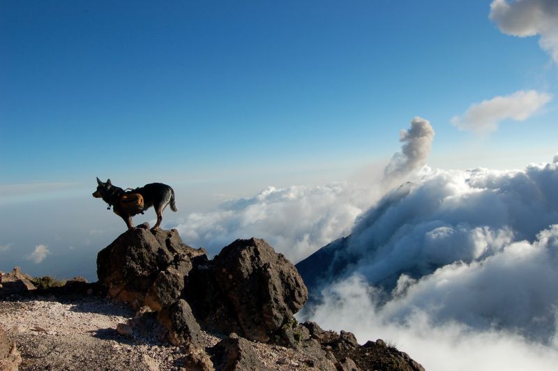 Acatenango Volcano 2-Day Hike - Who should book this two-day route?