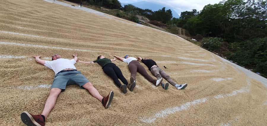 Antigua ATV Coffee tour - Who Will Enjoy It Most?