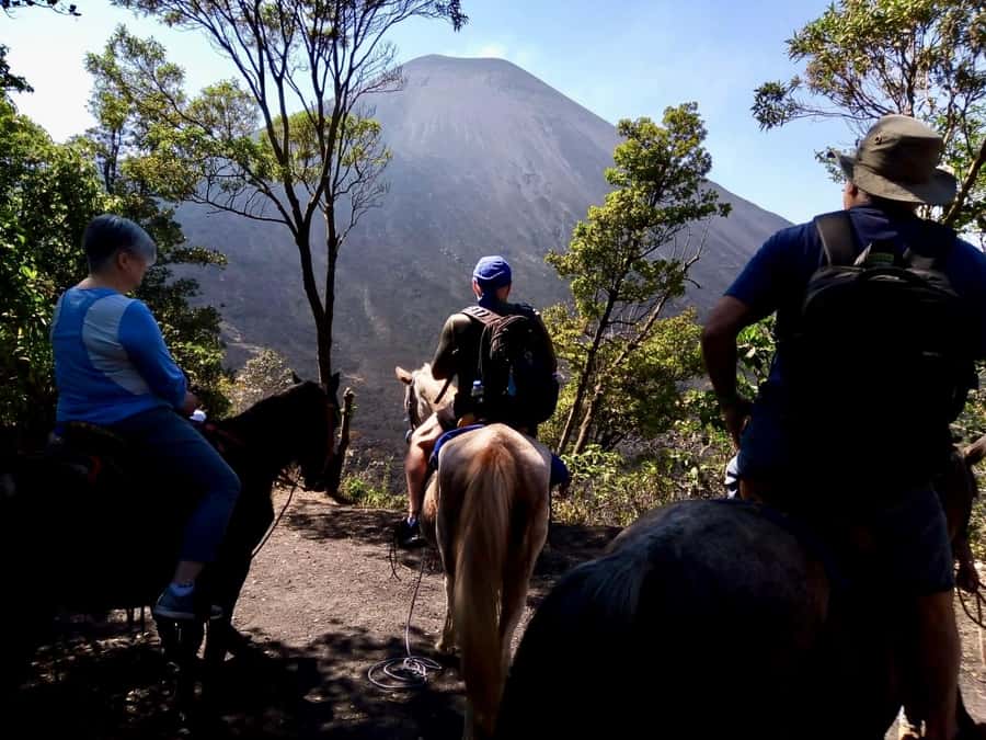 Antigua Guatemala: Private Day Tour to Pacaya Volcano - Who should choose this Pacaya outing?