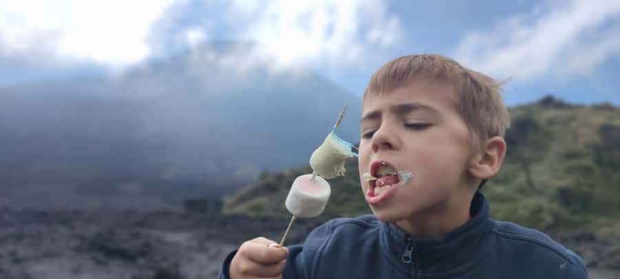 Antigua: Marshmallows Roasting at Pacaya Volcano 6-hour Tour - Key points before you book