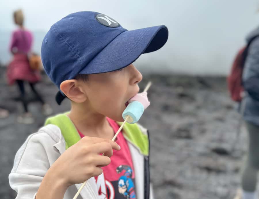 Antigua: Marshmallows Roasting at Pacaya Volcano 6-hour Tour - At the volcano entrance: bring cash for Q100