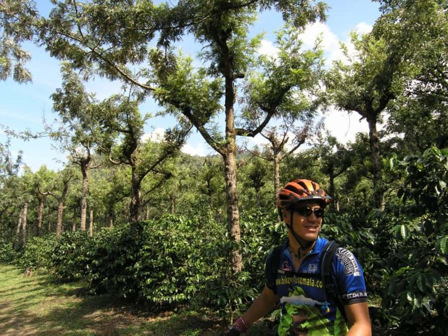 Antigua Sip 'n Cycle Half-Day Bike Ride and Coffee Tour - What the guide adds to the experience