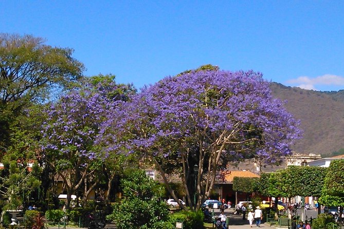 Antigua Walking Tour Morning and Afternoon - Why a walking tour is a smart first step in Antigua