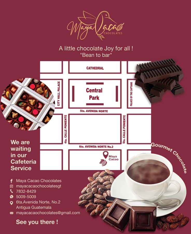 Chocolate workshop; gastronomic experience of cocoa. - Timing, flexibility, and the real value of $32