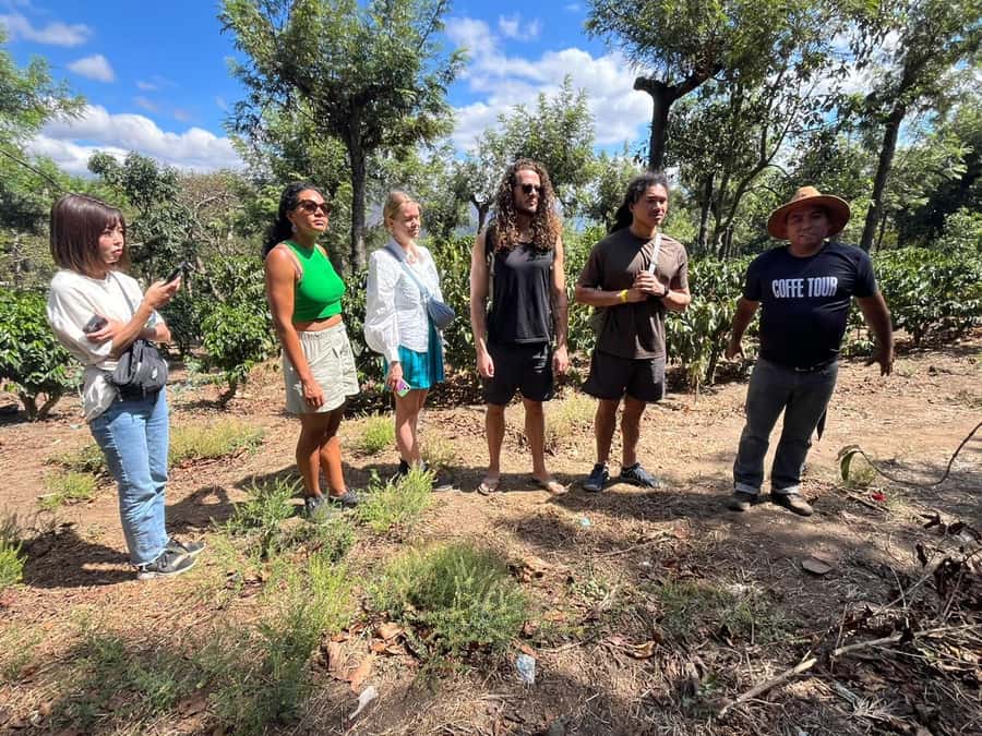 Coffee farm experience - Ciudad Vieja: More Than a Transfer Stop
