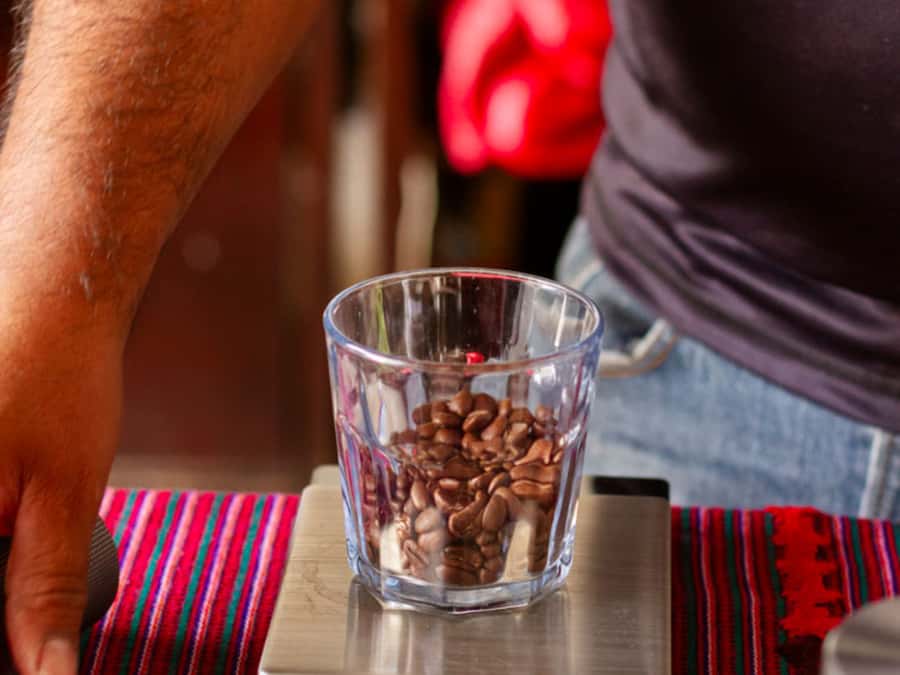 Coffee Tour in Antigua Guatemala - The farm’s other crops matter too