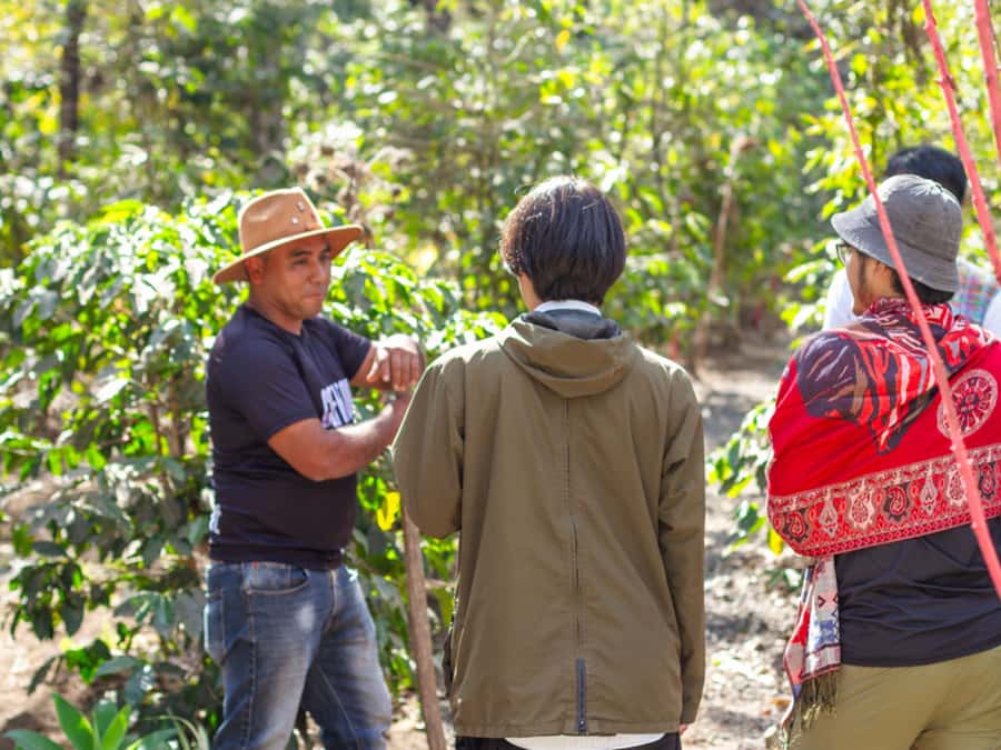 Coffee Tour in Antigua Guatemala - The coffee tasting at the end