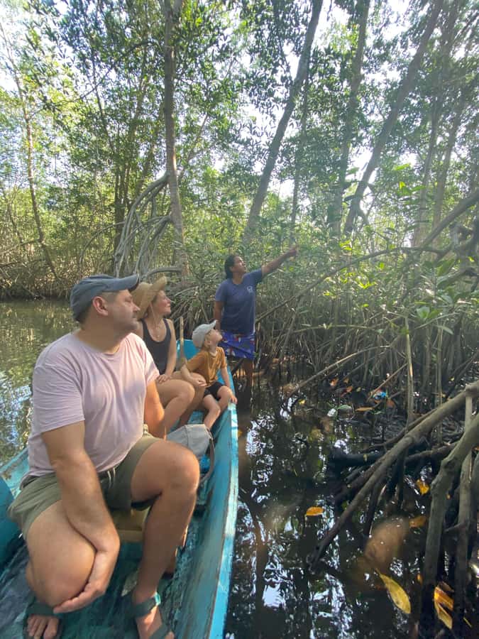 El Paredón: Mangrove Boat Tour with Optional Fishing - Why El Paredón’s mangroves are worth your time