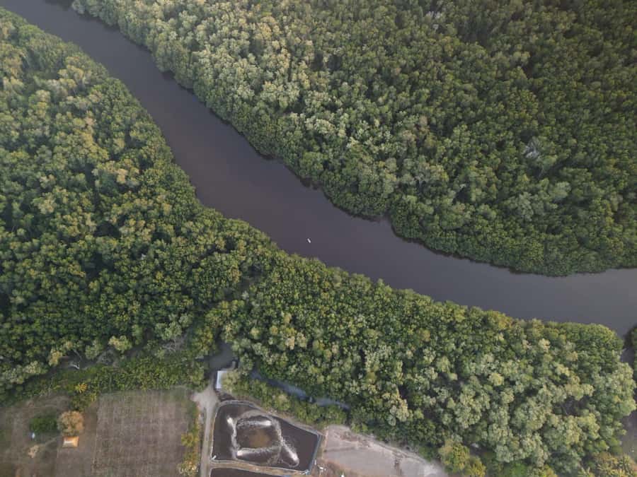 El Paredón: Mangrove Boat Tour with Optional Fishing - Practical advice for a smoother outing