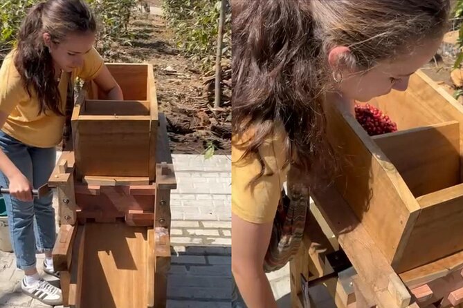 Experience: Organic Coffee, Avocados, Honey & More! - Bees, honey, and the farm’s pollinator lesson
