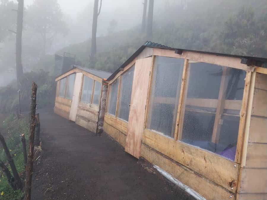 From Antigua: 2-Day Acatenango Volcano Hiking with Guide - Language, group size, and physical demands