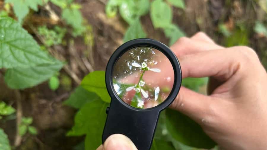 From Antigua Guatemala: Birdwatching and Scenic Hiking Tour - Timing, transport, and the duration question