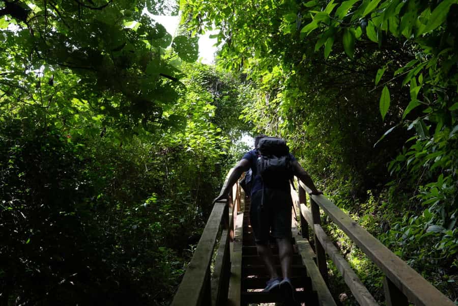 From Antigua Guatemala: Birdwatching and Scenic Hiking Tour - What to pack for a comfortable walk