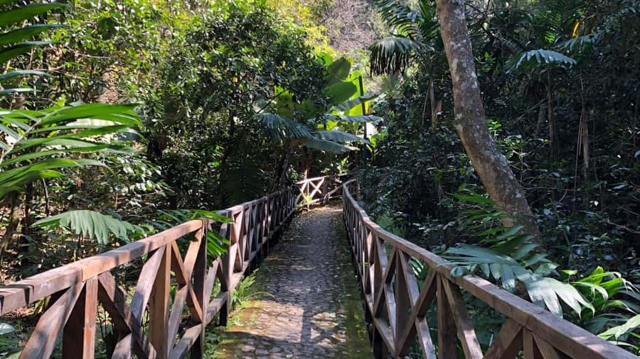 From Antigua Guatemala: Birdwatching and Scenic Hiking Tour - Starting with birds near the lower trails