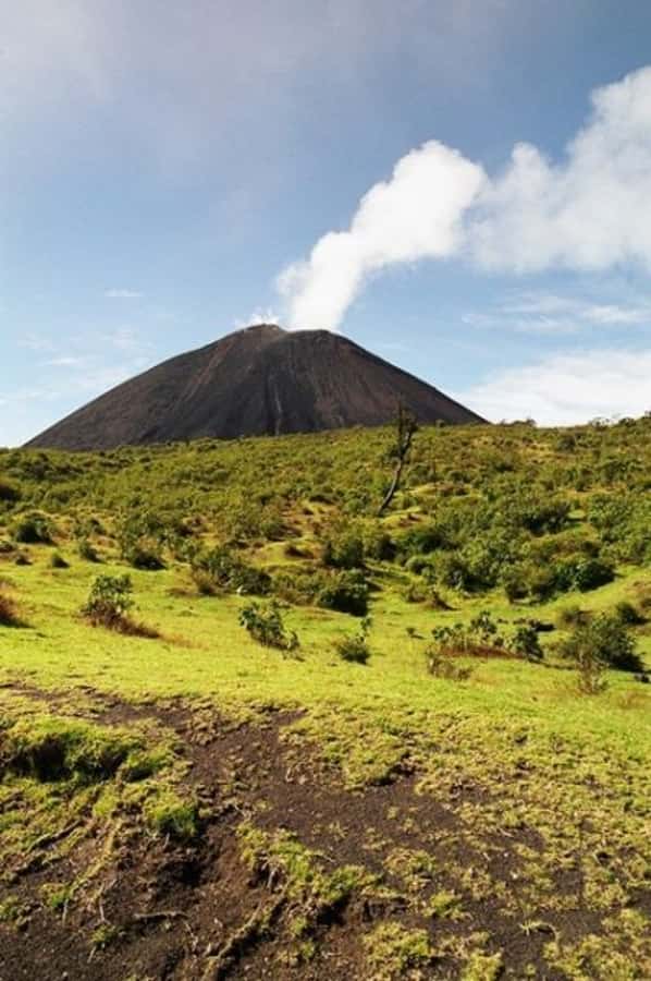 From Antigua: Pacaya Volcano Day Hike - Crossing lava formed by Pacaya’s eruptions