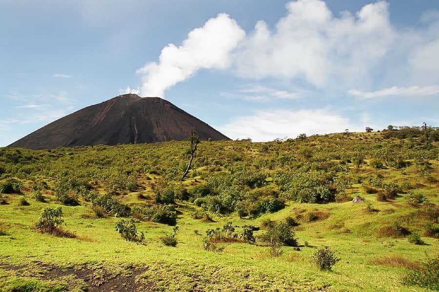 From Antigua: Pacaya Volcano Trek - How the $23 Price Holds Up