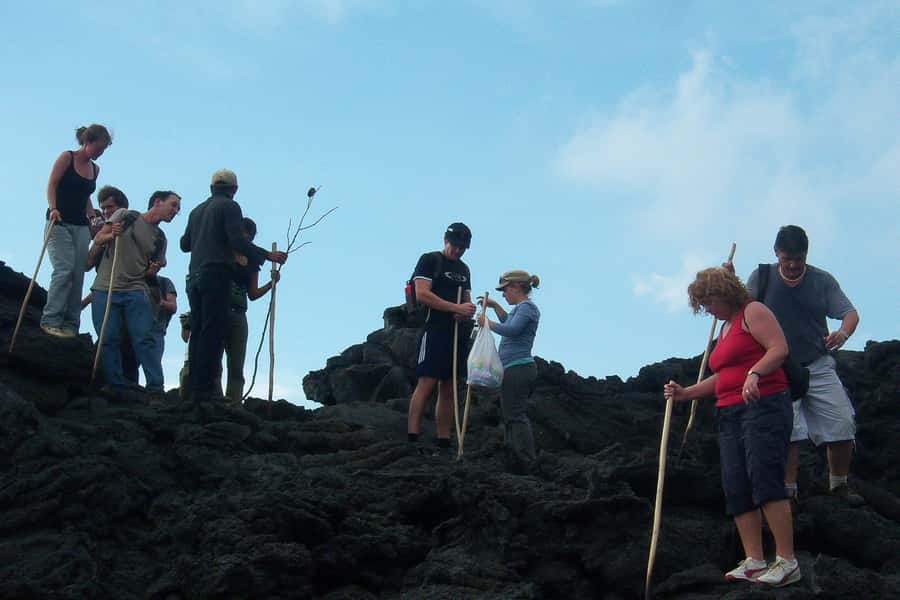 From Antigua: Pacaya Volcano Trek - Should You Book the Pacaya Trek?