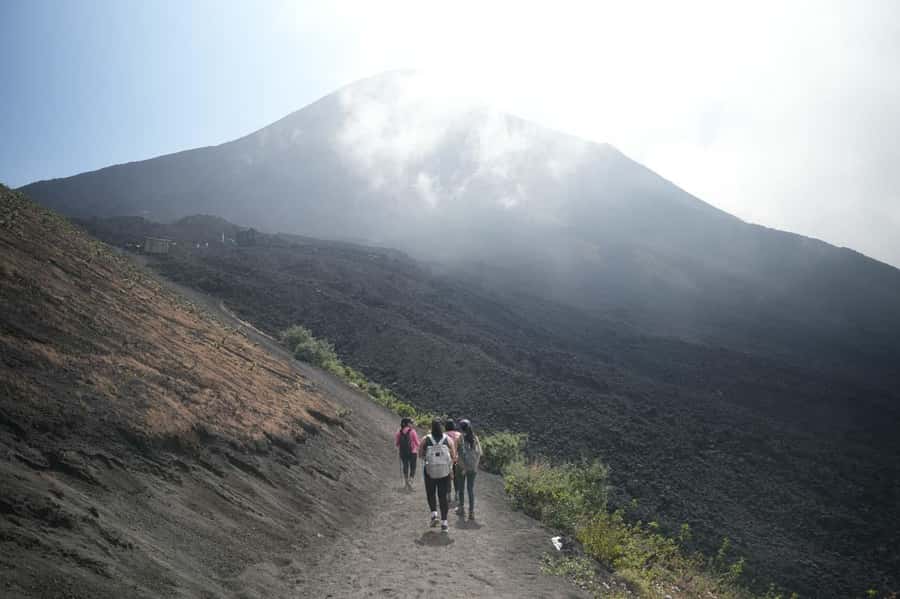 From Antigua to Pacaya Private Tour - Walking up Pacaya with a private guide
