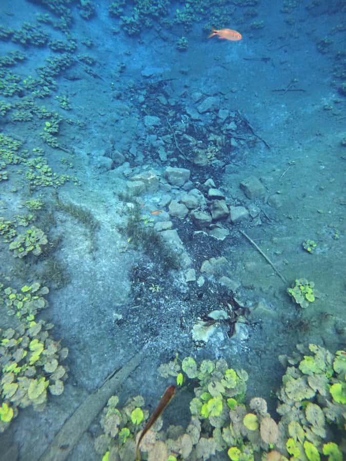 From Flores: Blue Crater Adventure All Inclusive - Practical tips for a smoother outing