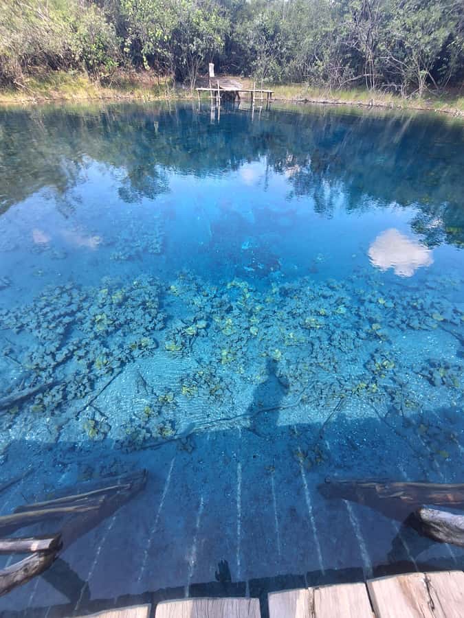 From Flores: Blue Crater Adventure All Inclusive - From Flores to Arroyo Pucte