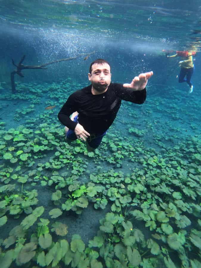 From Flores: Blue Crater All Inclusive - What makes this Blue Crater trip worth considering
