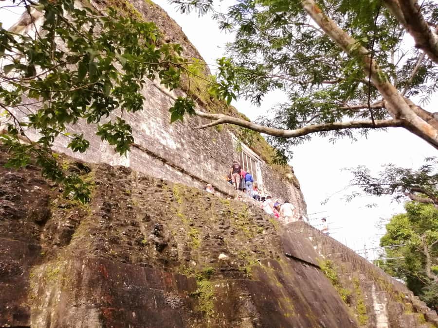 From Flores: Guided Tour to the Ruins of Tikal - Meeting in Flores or at Mundo Maya Airport