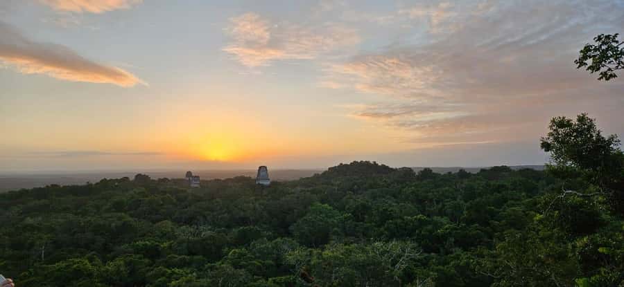From Flores Guided Tour to Tikal with transportation + lunch - Why this Flores to Tikal trip works well