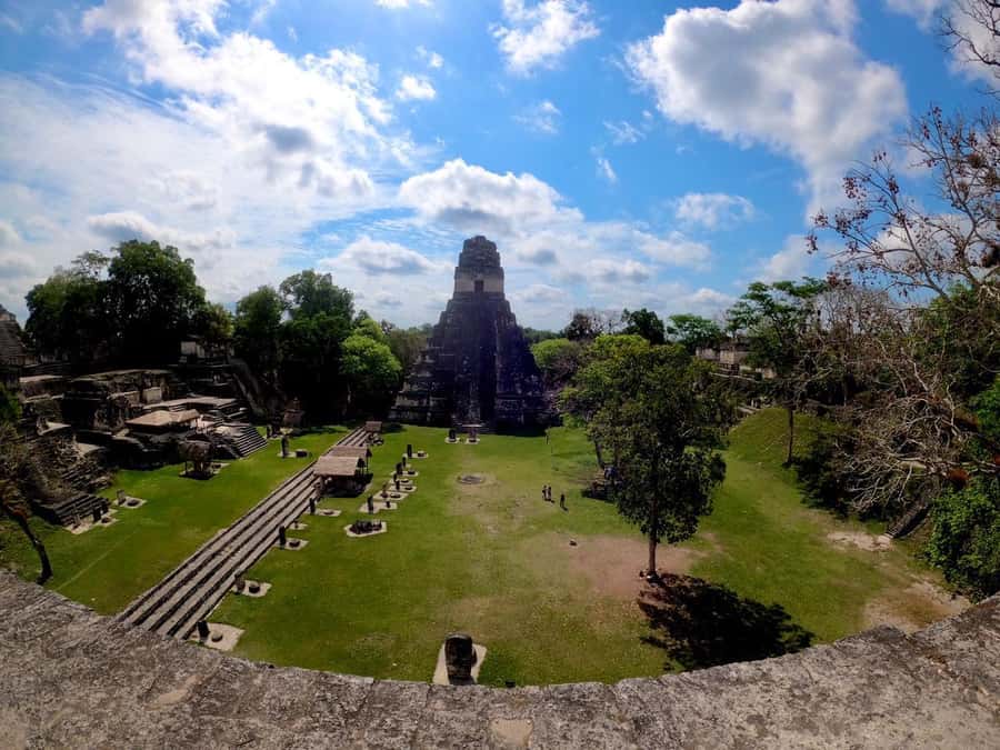 From Flores: Tikal Guided Tour with Transportation - Wildlife is part of the experience