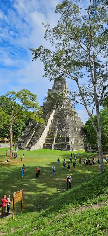 From Flores: Tikal National Park All Inclusive - Key points at a glance