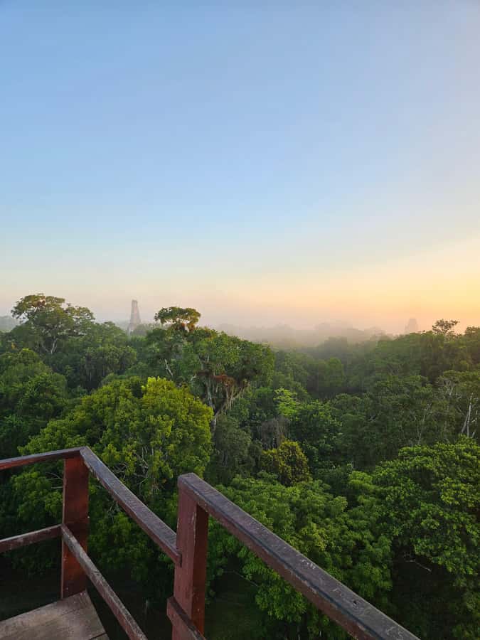 From Flores: Tikal National Park All Inclusive - The 1.5-hour ride to Tikal