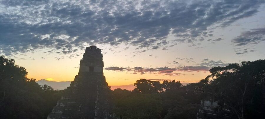 From Flores: Tikal Sunrise Archaeological Tour - Three hours among Tikal’s major temples