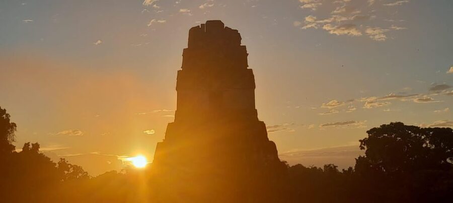 From Flores: Tikal Sunrise Archaeological Tour - The jungle is part of the archaeological visit