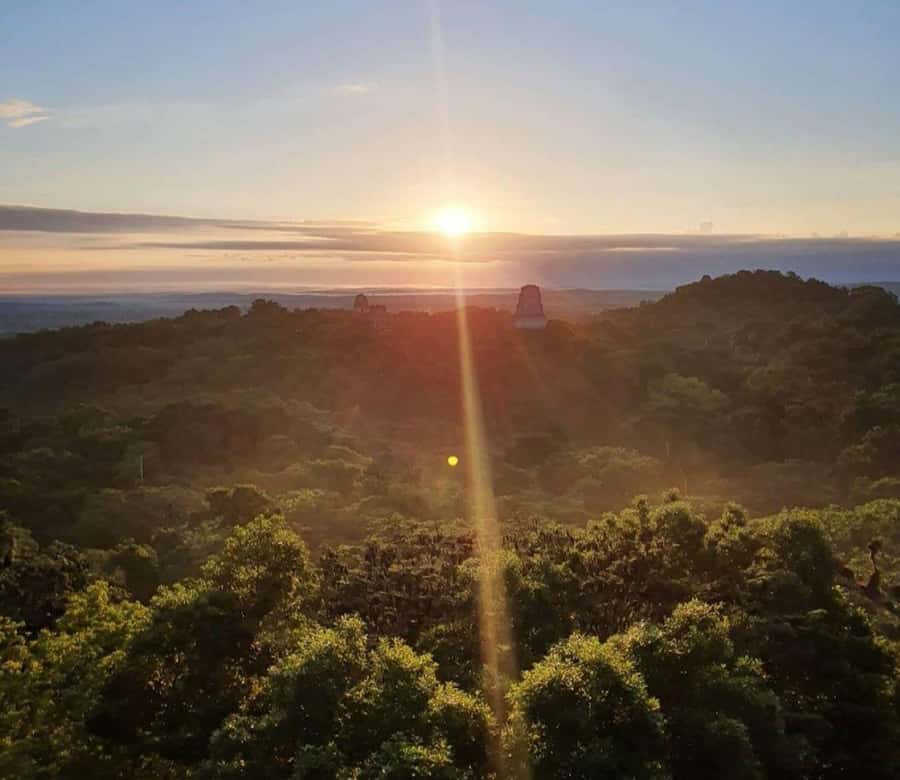 From Flores: Tikal Sunrise Extended Private Tour - Key points to know before booking