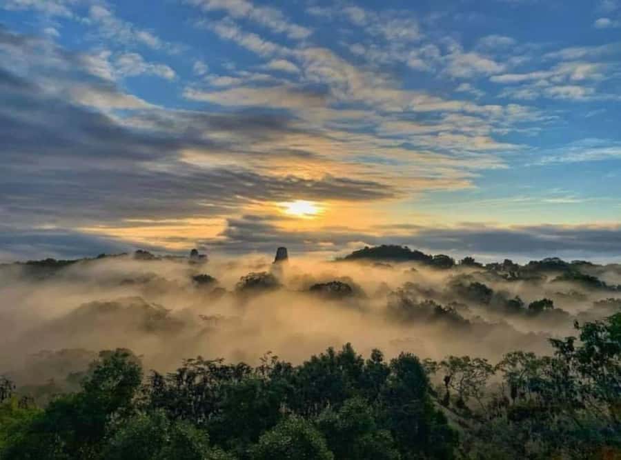 From Flores: Tikal Sunrise Extended Private Tour - Walking 40 minutes to Temple IV