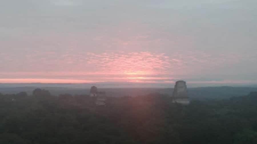 From Flores: Tikal Sunset Tour - Why the afternoon timing works so well