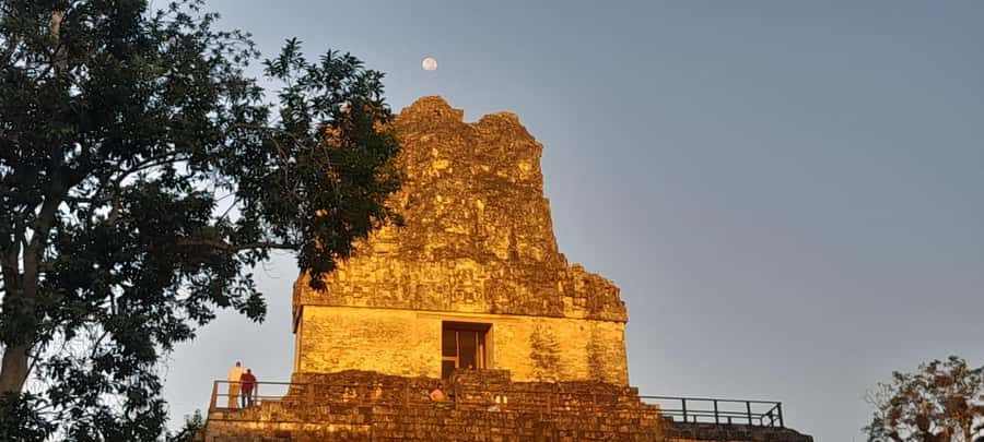 From Flores: Tikal Sunset Tour - Wildlife adds another layer to the visit