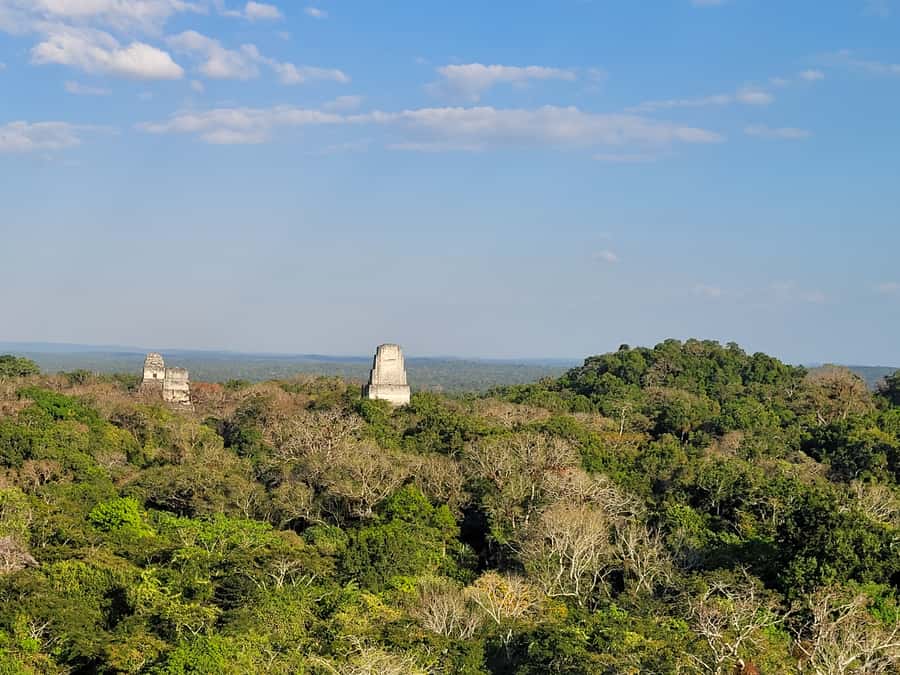 From Flores: Tikal VIP Exclusive cultural Tour All inclusive - The temples and the physical effort