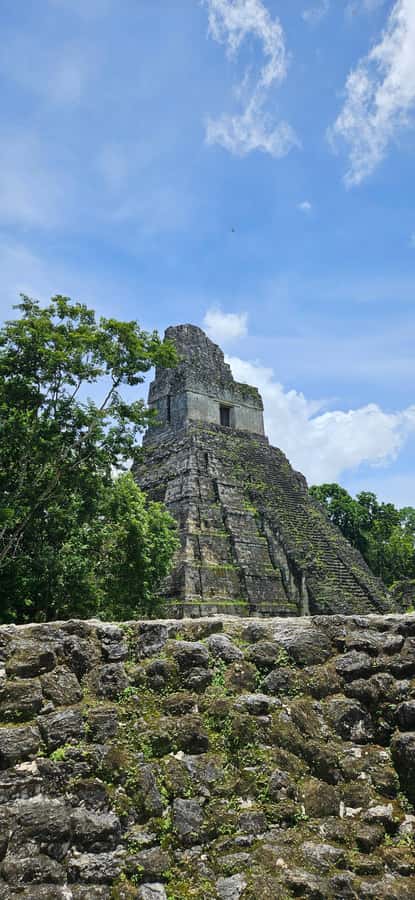 From Flores: Tour Tikal All Inclusive - Key points before you book