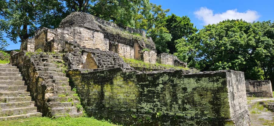 From Flores: Tour Tikal All Inclusive - Five hours among Tikal’s temples