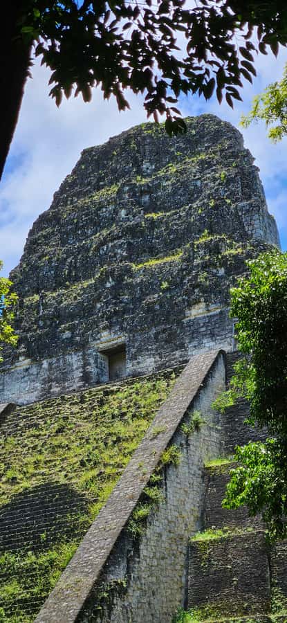 From Flores: Tour Tikal All Inclusive - Why Tikal’s history makes the walk worthwhile