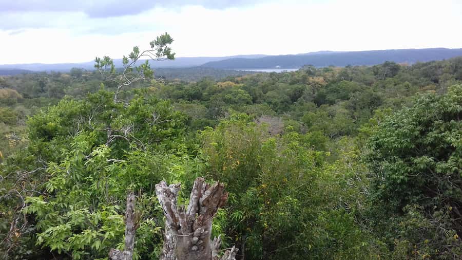From Flores: Yaxha Ruins Guided Tour - Three hours among temples, palaces, and pyramids