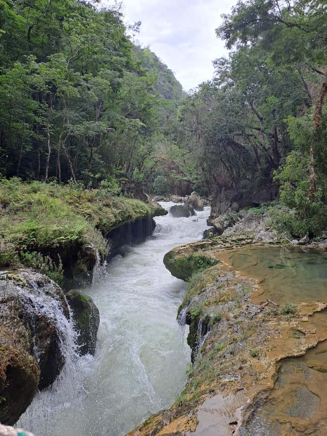 From Guatemala City to Semuc Champey in one day. - Cobán, cardamom, and the taste of Alta Verapaz