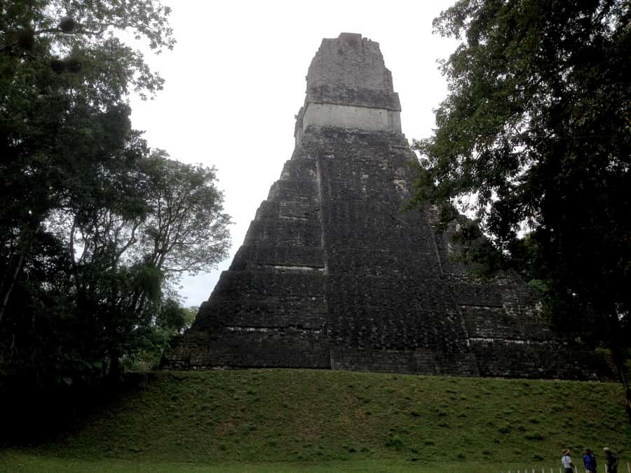 From San Ignacio: Tikal Maya Site Day-Trip with Local Lunch - Meeting your Guatemalan guide at Tikal