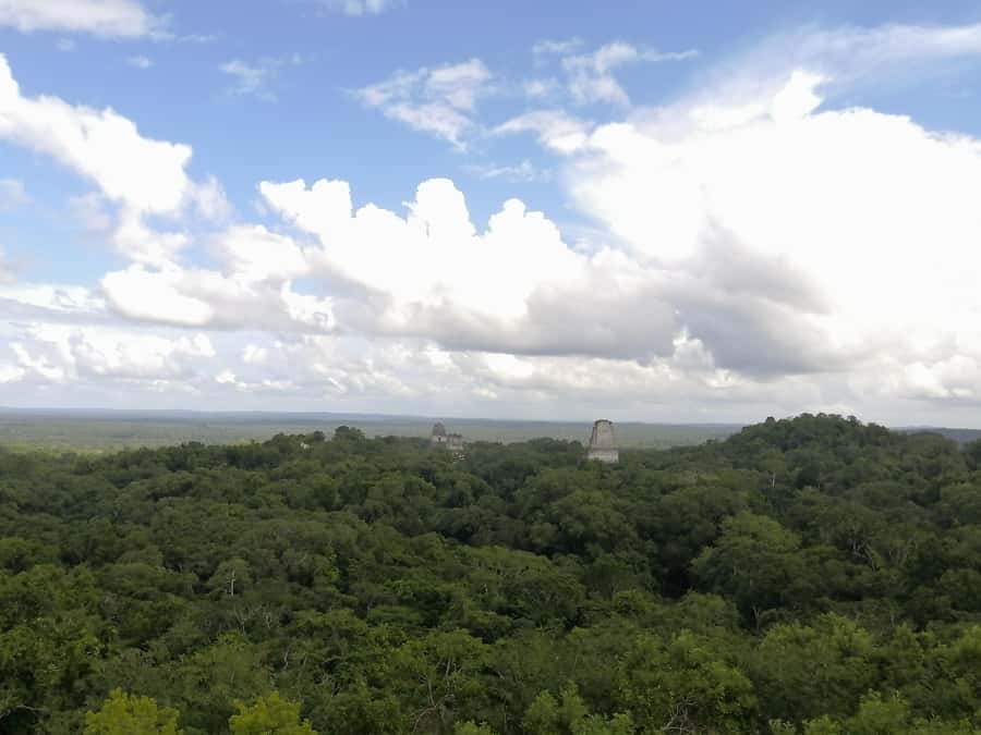 Impressive Tikal from Flores with Lunch - Who should book this Tikal experience?