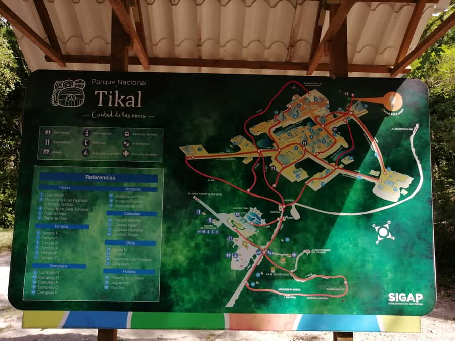 Impressive Tikal from Flores with Lunch - Entering Tikal and finding your bearings