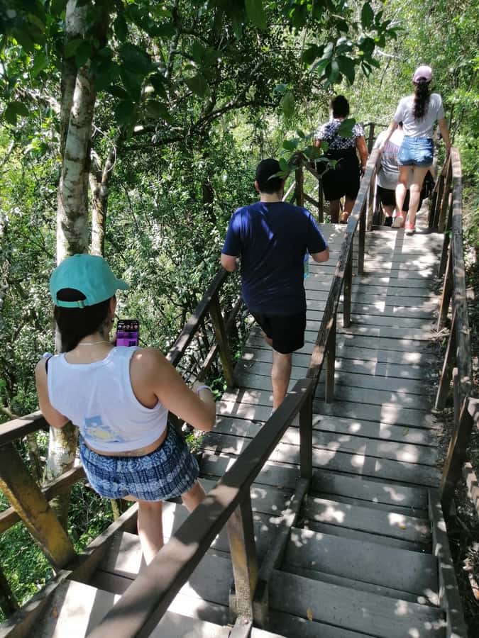 Impressive Tikal from Flores with Lunch - Lunch after the ruins