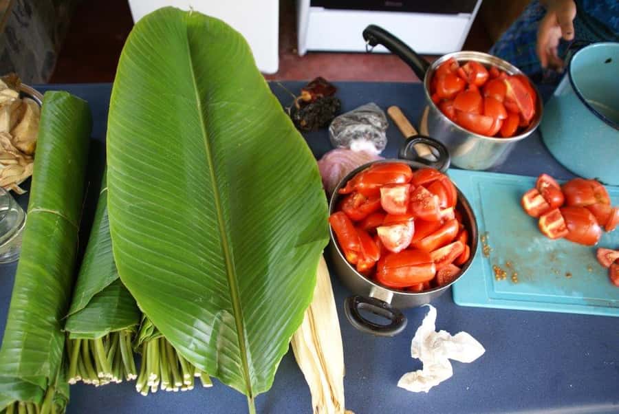 Lake Atitlan Maya Kitchen: 3-Hour Cooking Class - A Kitchen Class With a Local Point of View