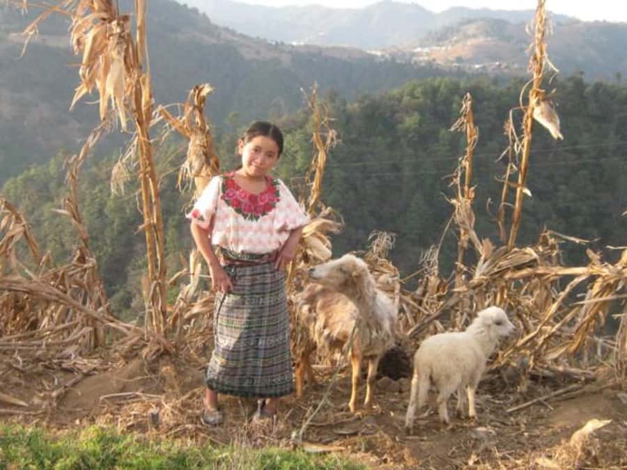 Lower Mayan Trail: San Marcos to Santa Cruz 4-Hour Hike - Cornfields, coffee, and the village of Tzununa