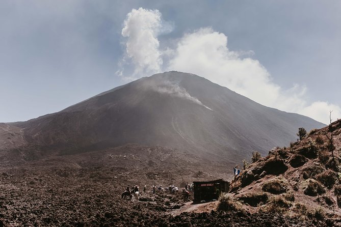 Pacaya Volcano Shared Hiking Tour - What you see near the summit